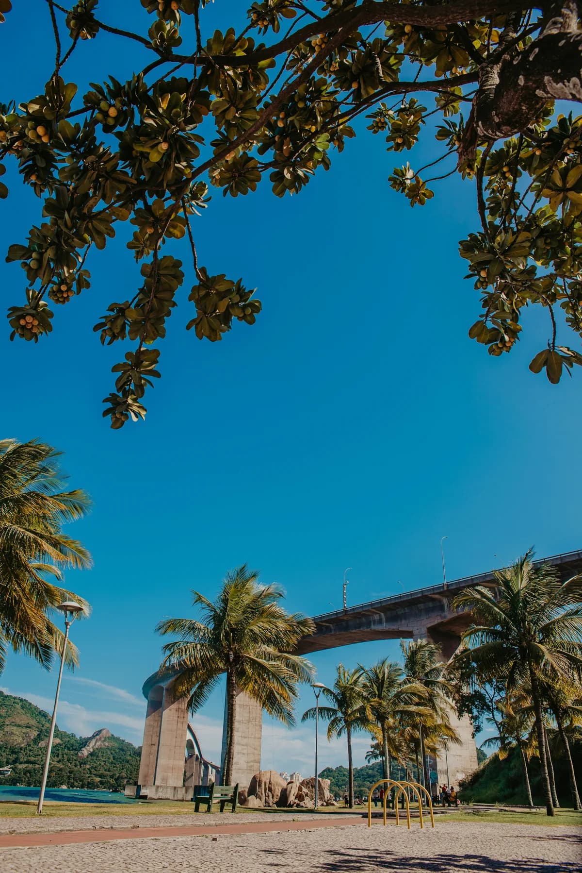 Vitória